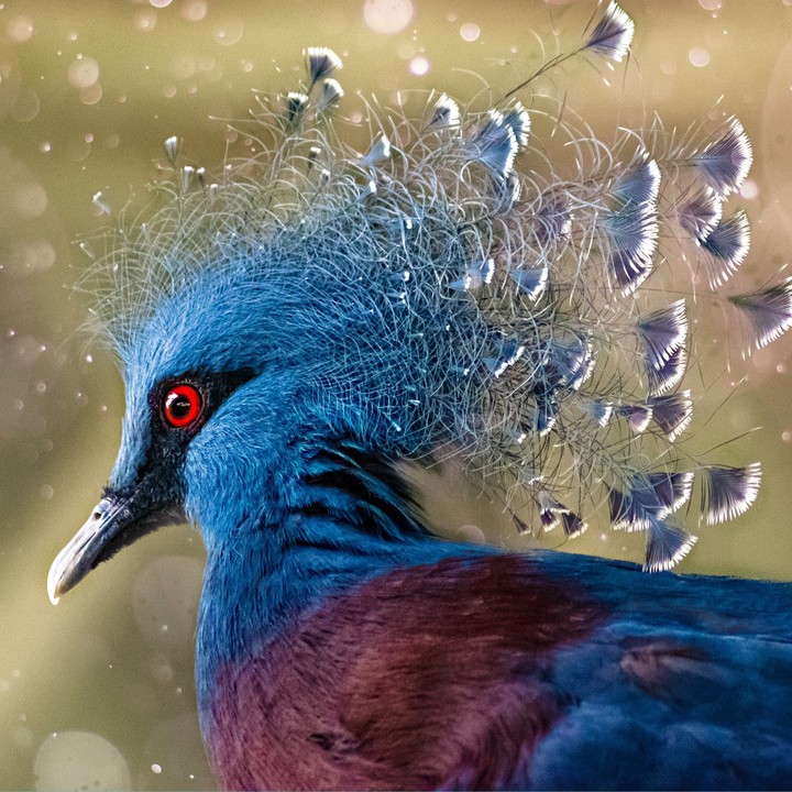 Spectacular....