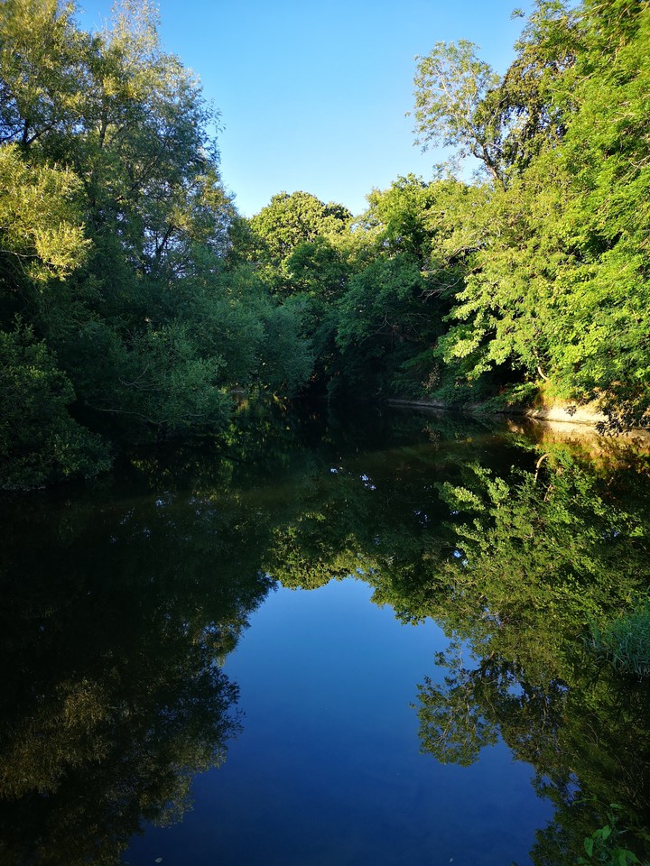 River Reflections