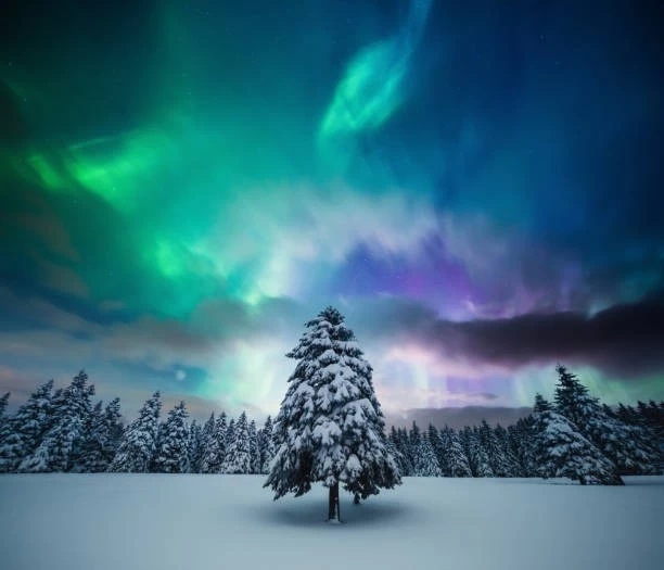 aurora borealis illuminates snow-covered landscape