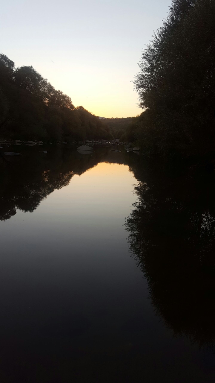 Bingöl