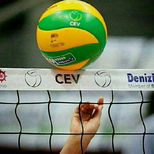 Volleyball is love
