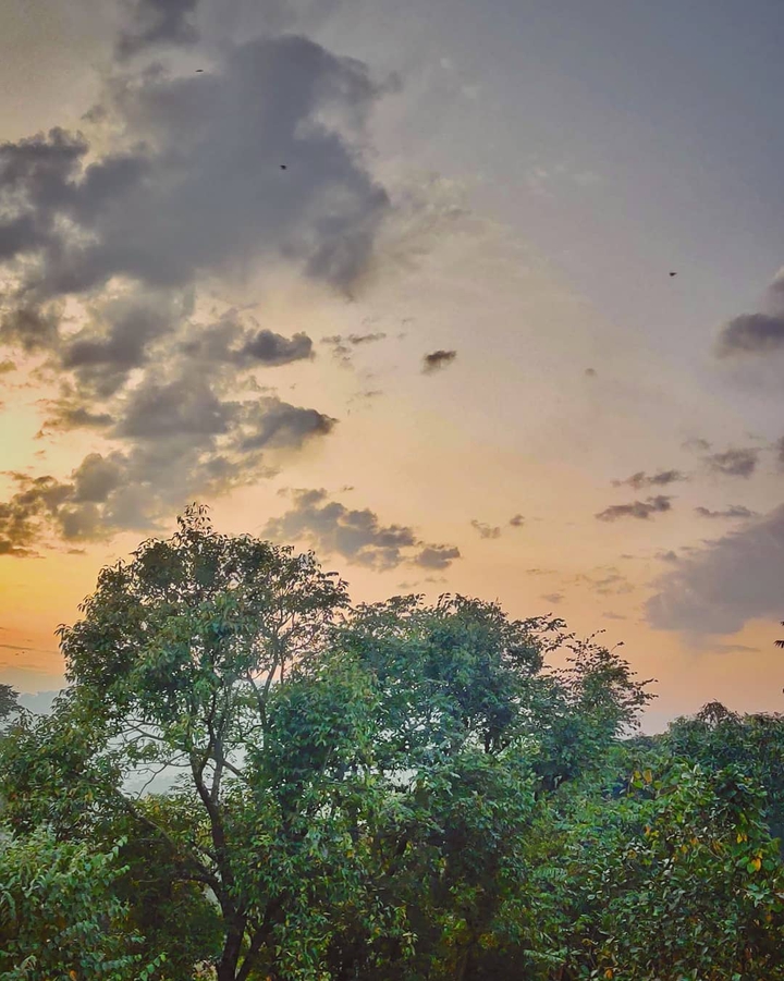 Beautiful Sky
