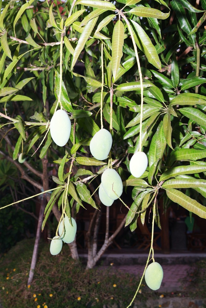 Asia