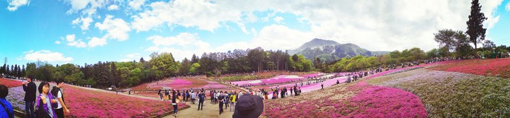 Flower Park in Chichibu city, Saitama province