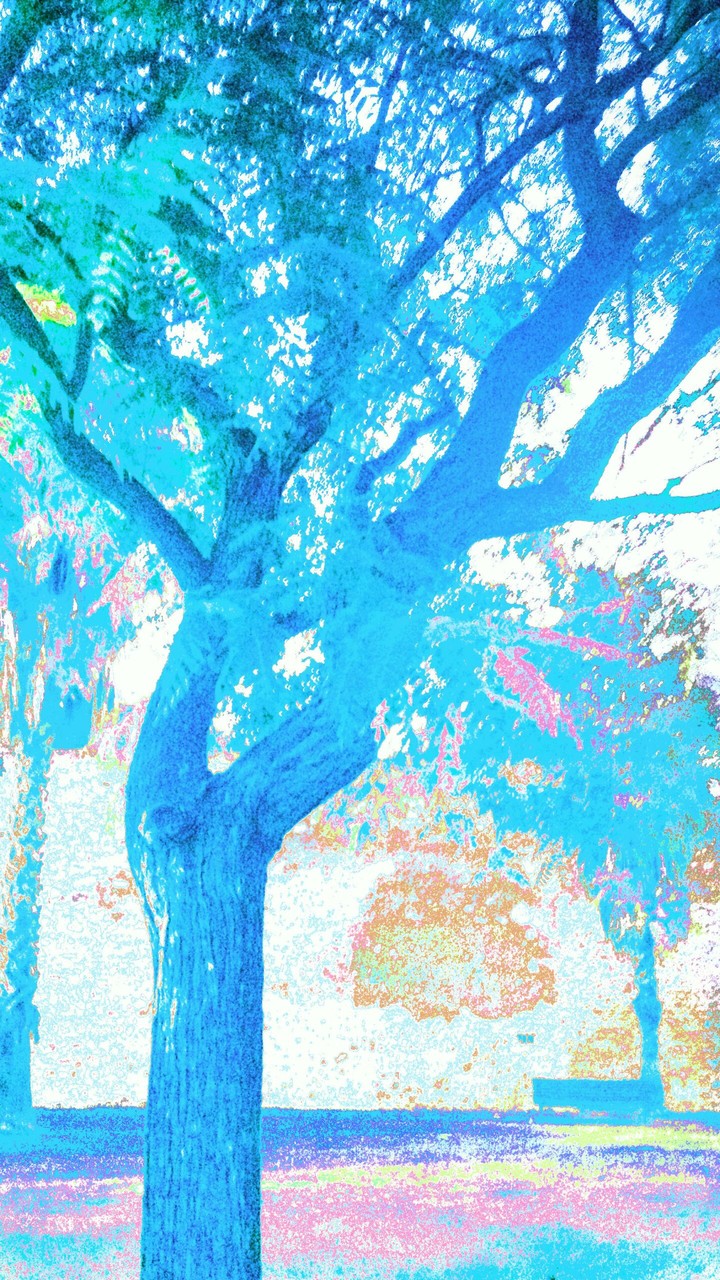 colourful tree