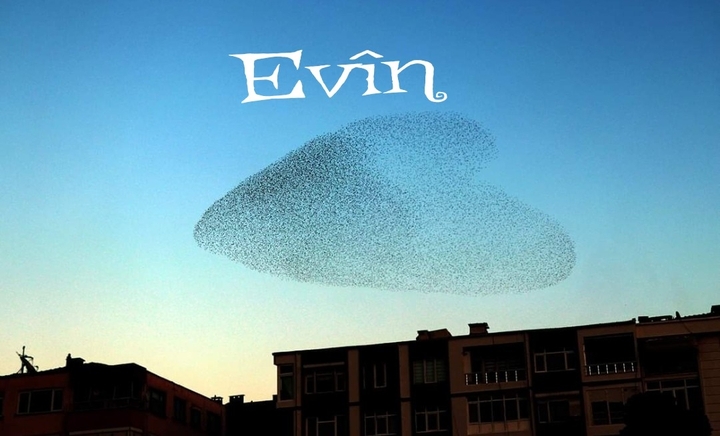 Evîn