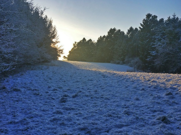 Danish winter