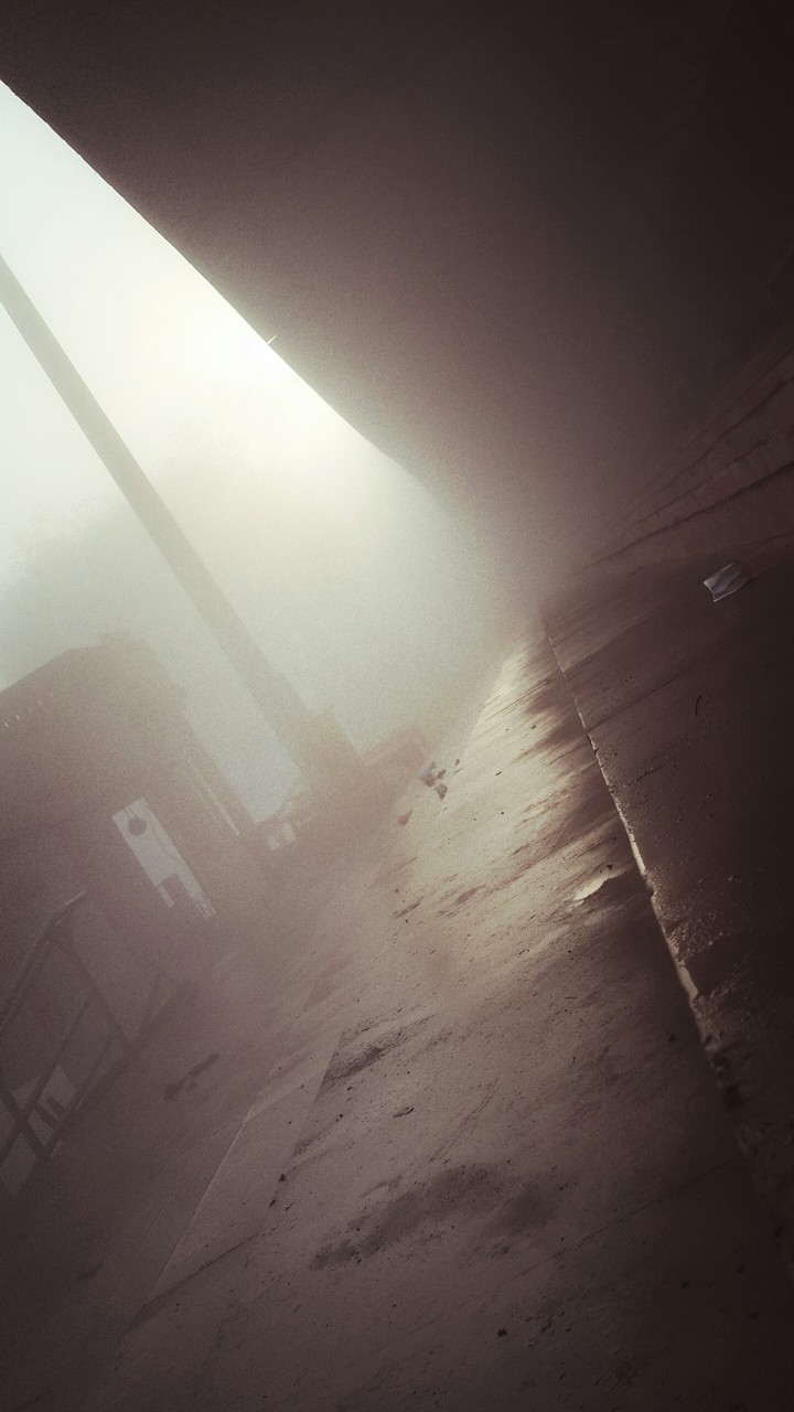 foggy Sunday