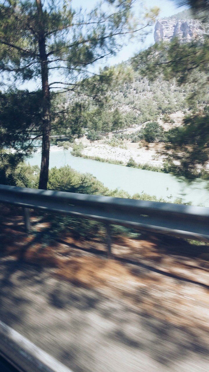 Manzara