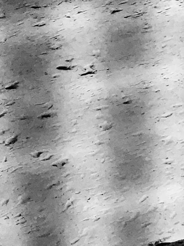 droplets ? on window