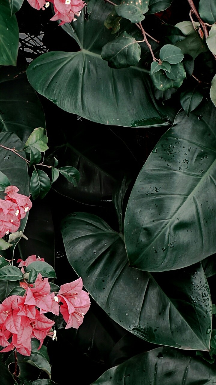 Mother Nature