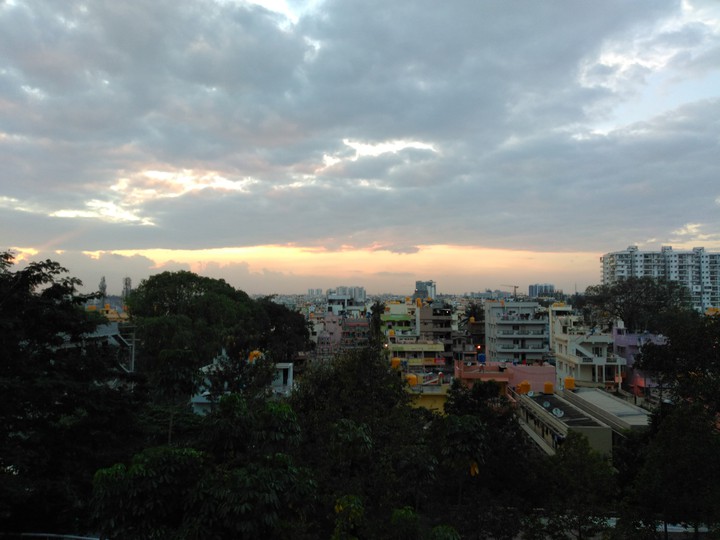 trees and city
