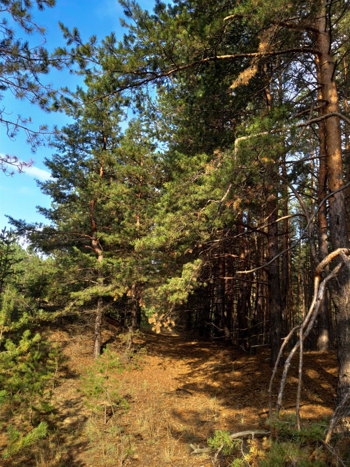 secret path
