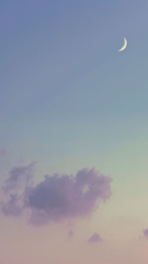 무지개달