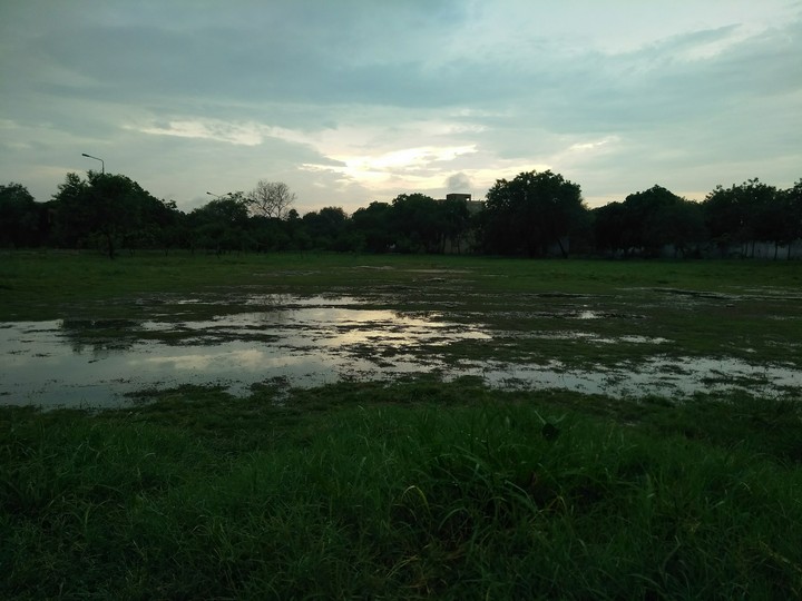 nature