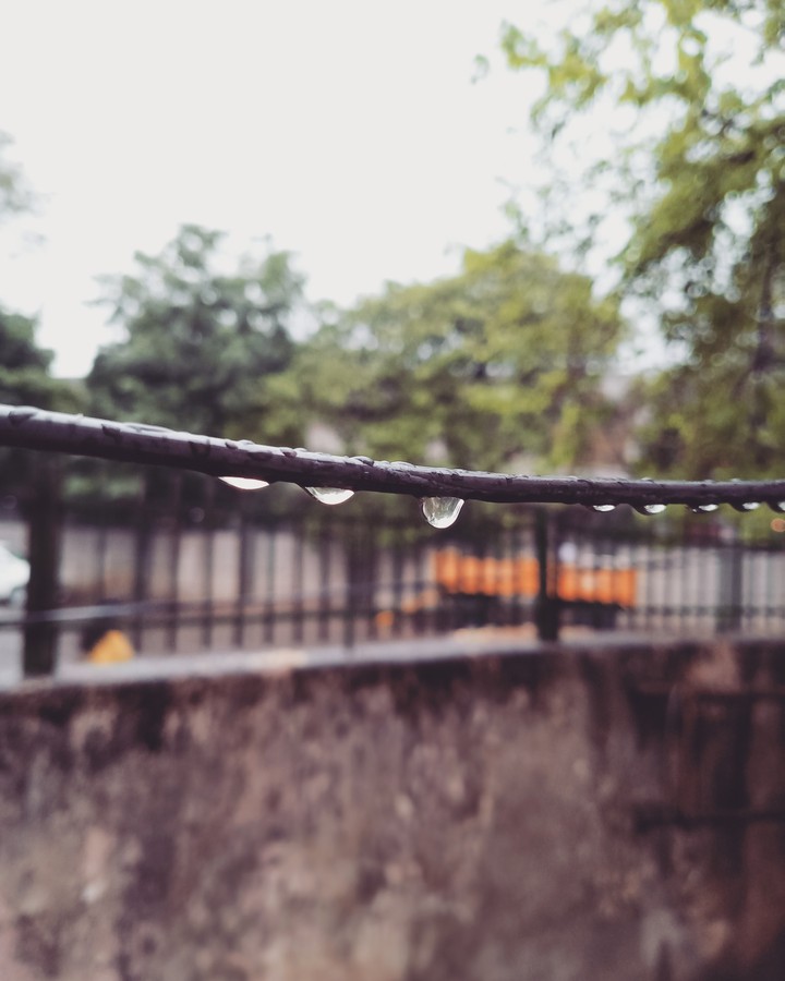 rain drops