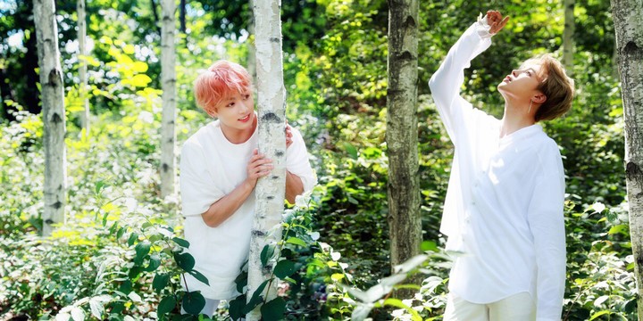 Jungkook and jimin