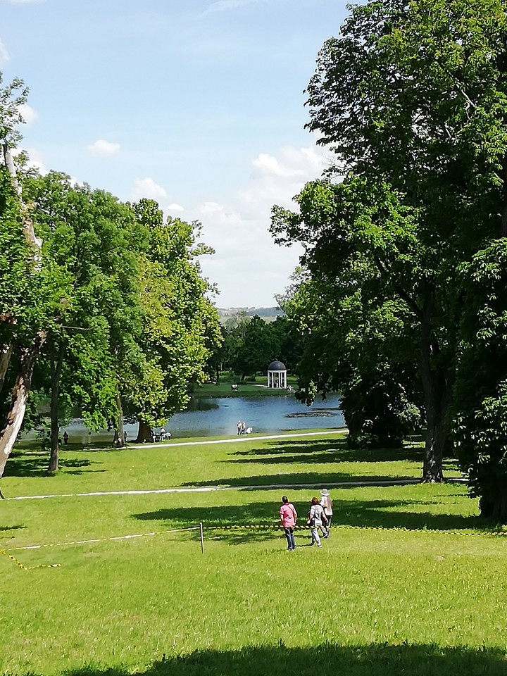 view