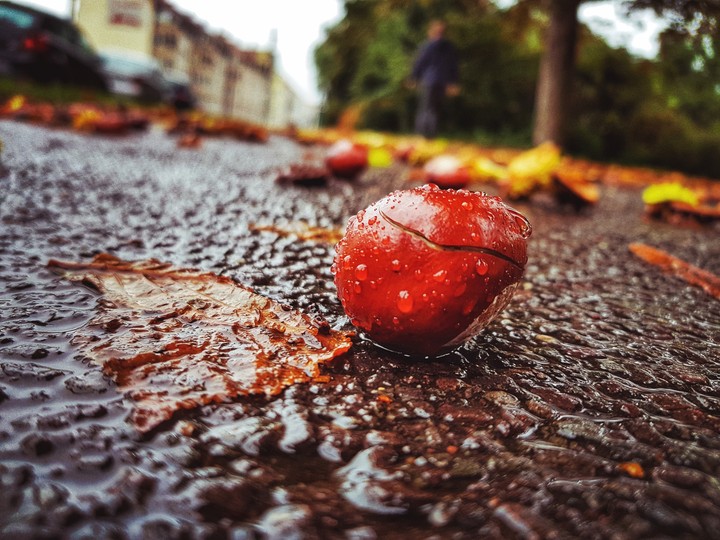 Lost in the rain.