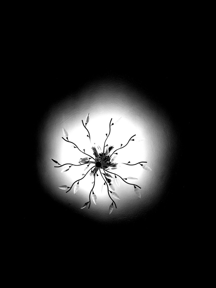 Black&White Chandelier