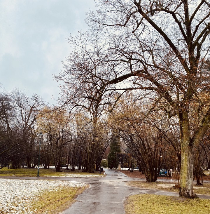 Nature