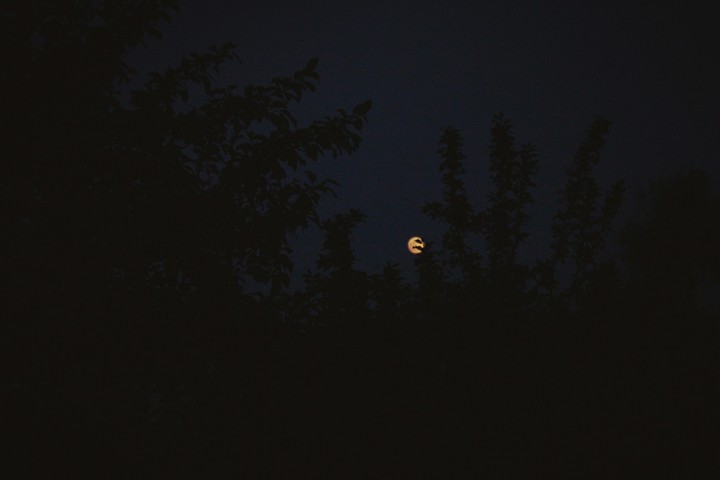 the full moon.