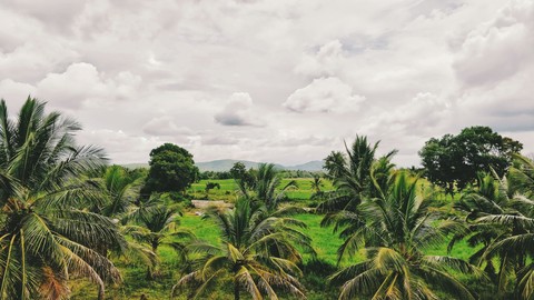 Along the way