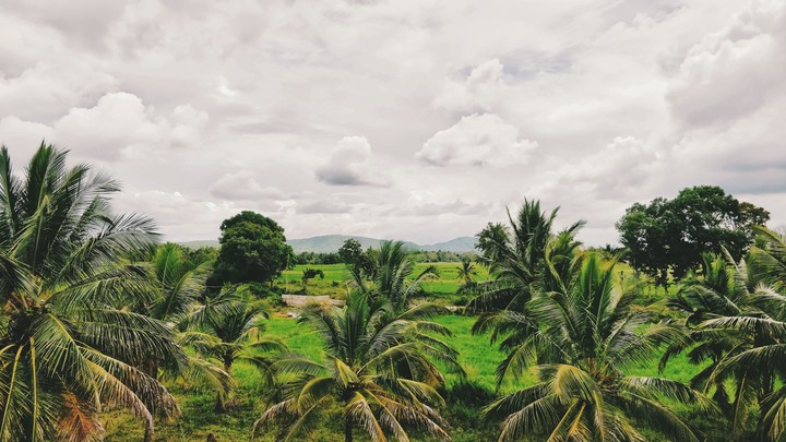 Along the way