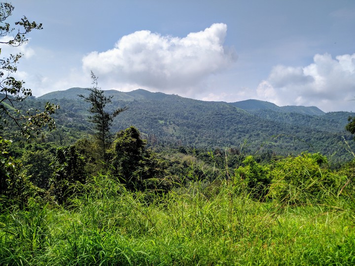 Silent valley