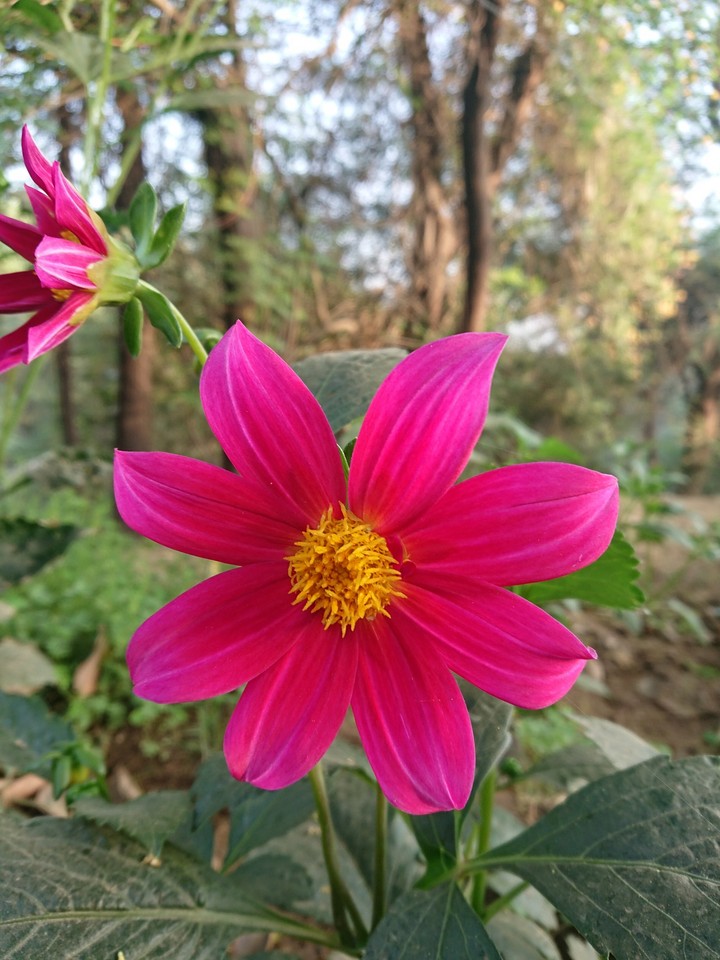 Nature