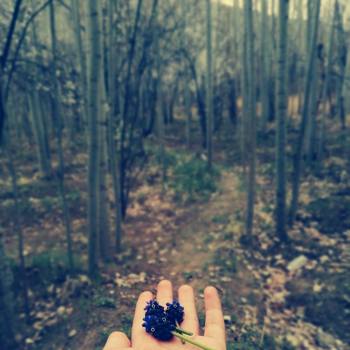 spring✽♡