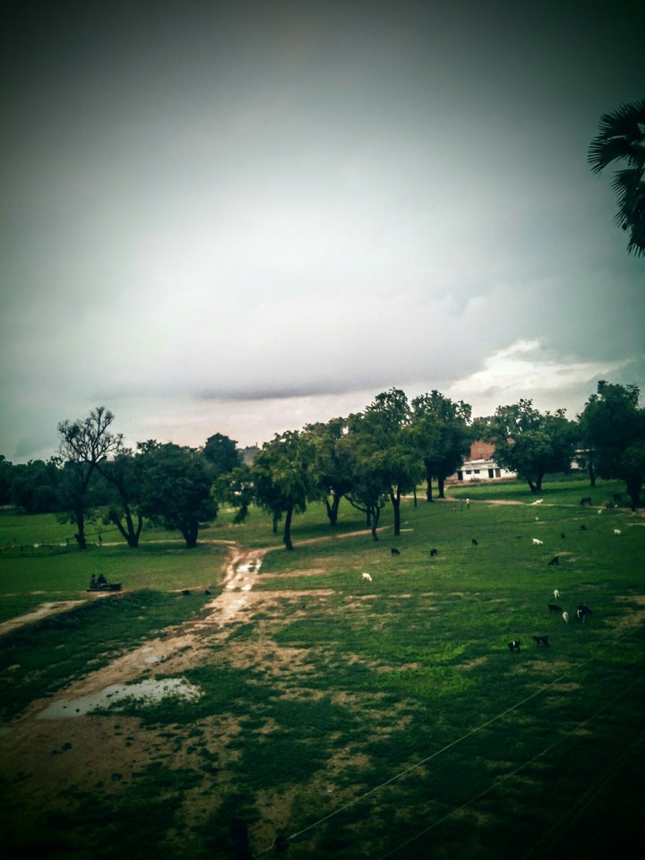 beside my house.