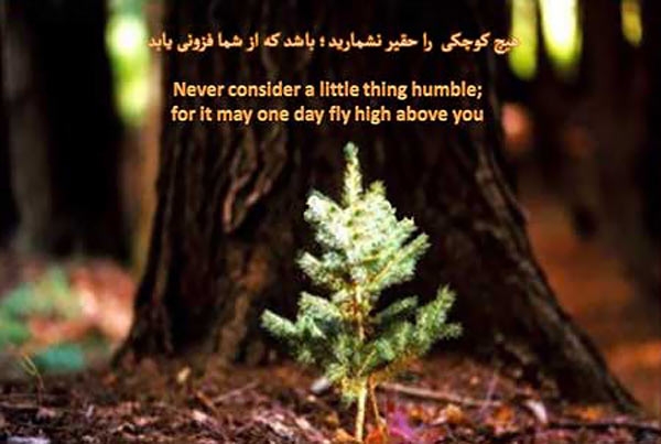 Never
