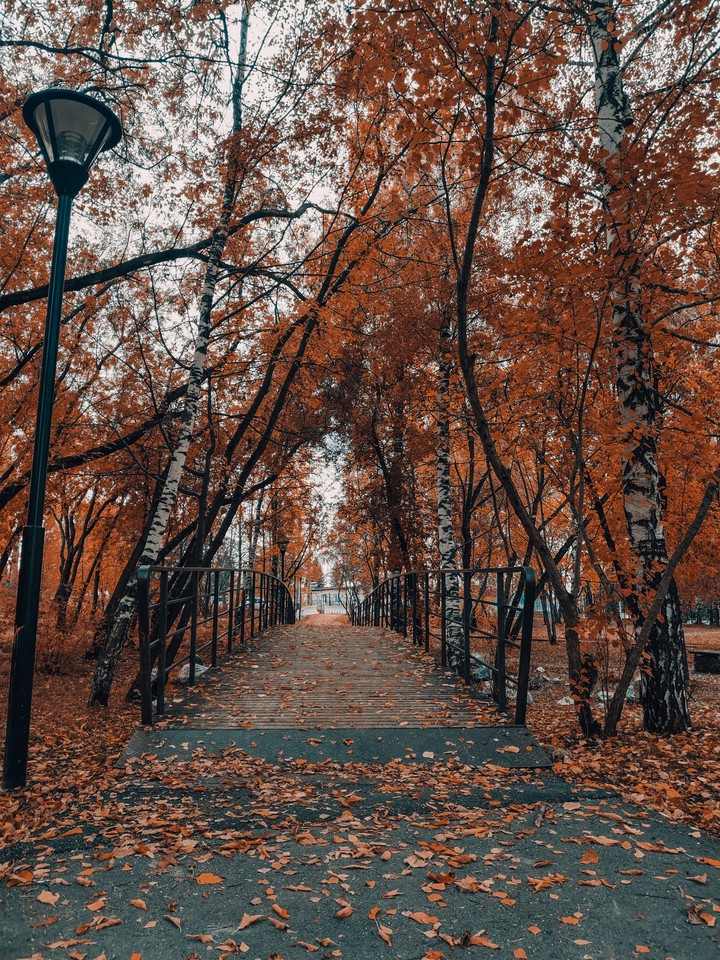 autumn