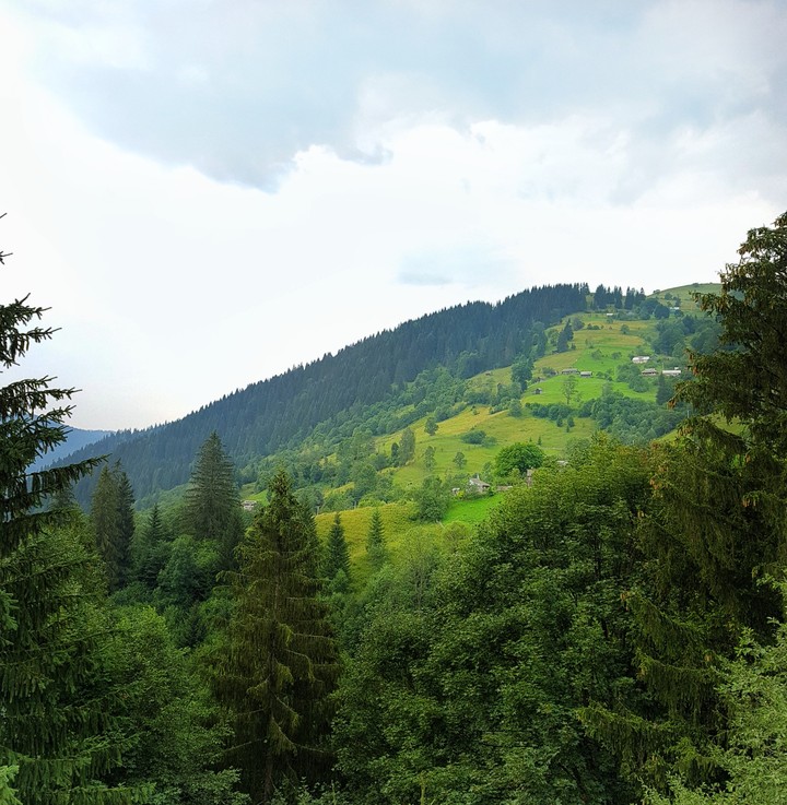Karpaty