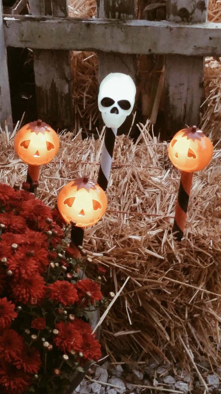 halloween