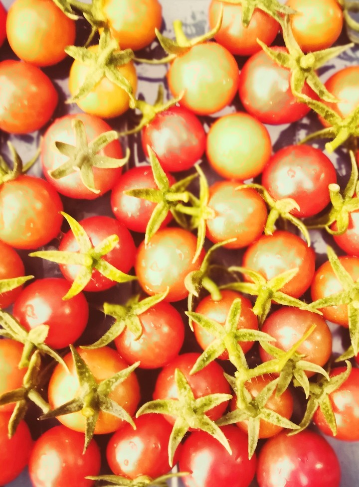 Tomatoes