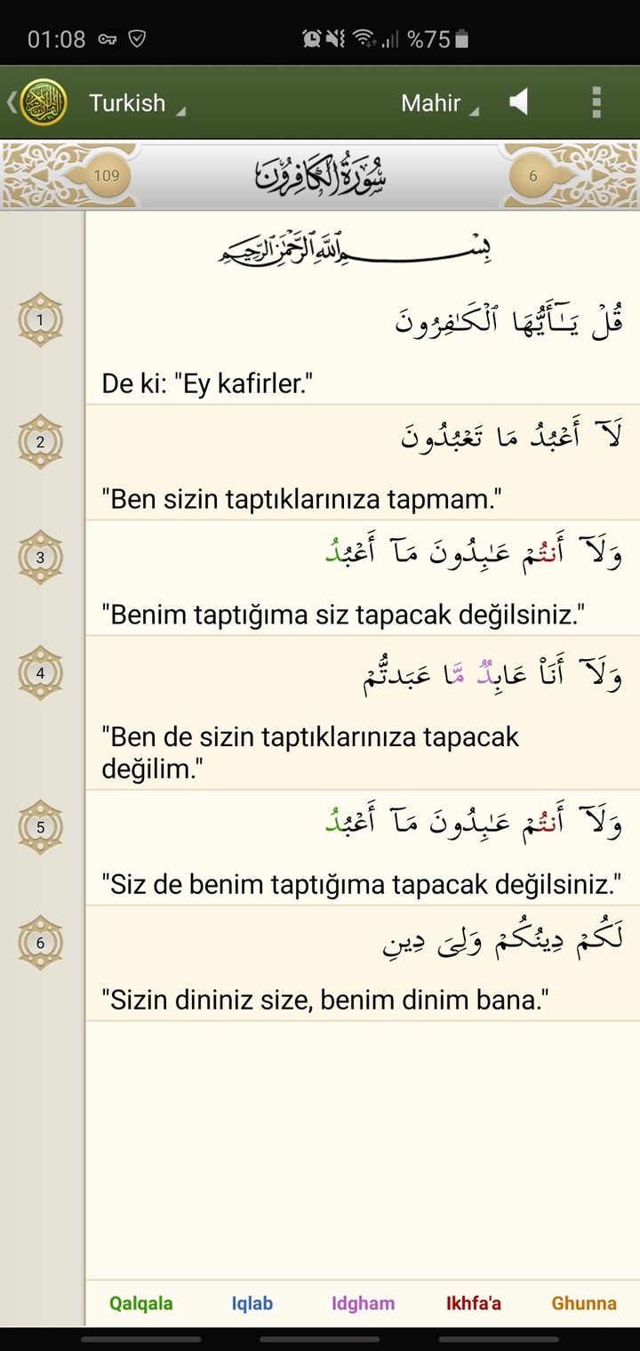 sizin taptiginiza tapacak degilim