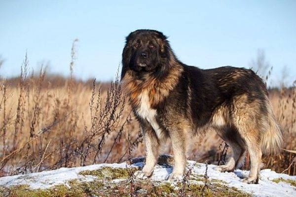 Класс