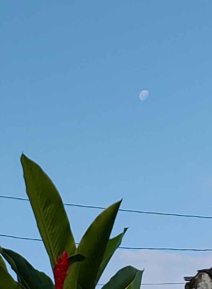Lua ?