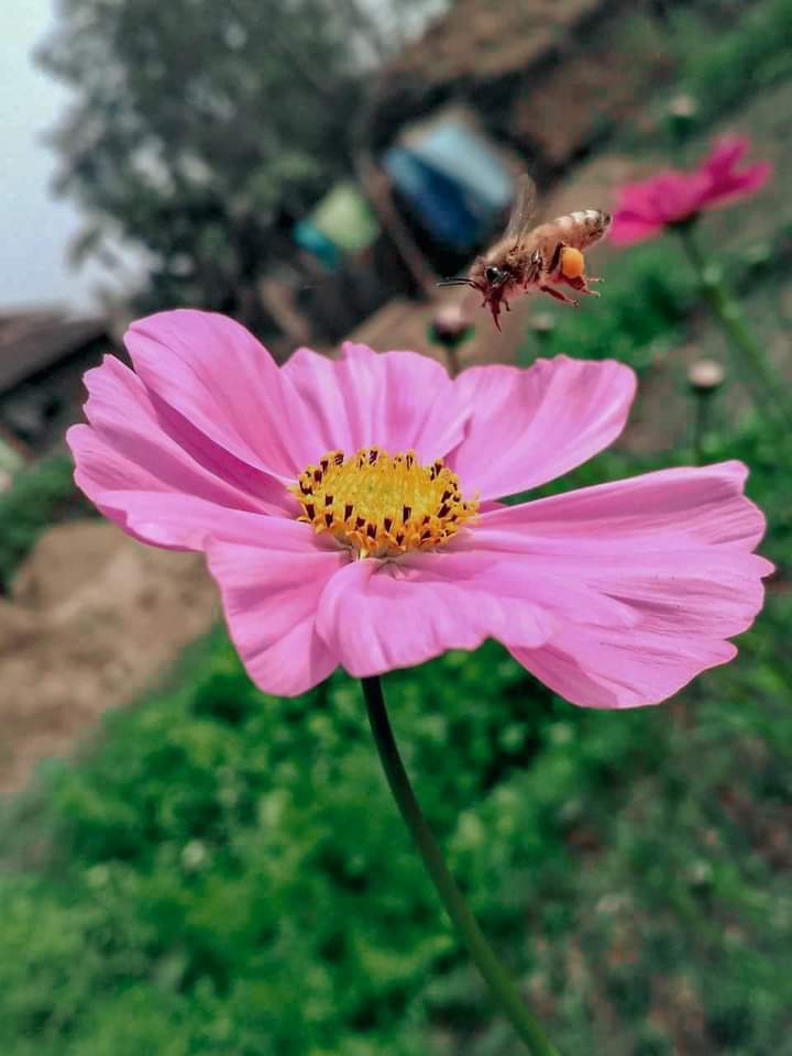 ?