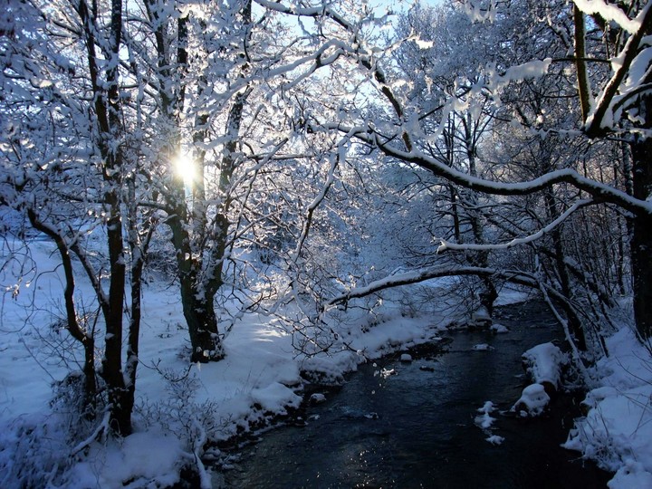Snow in Fife