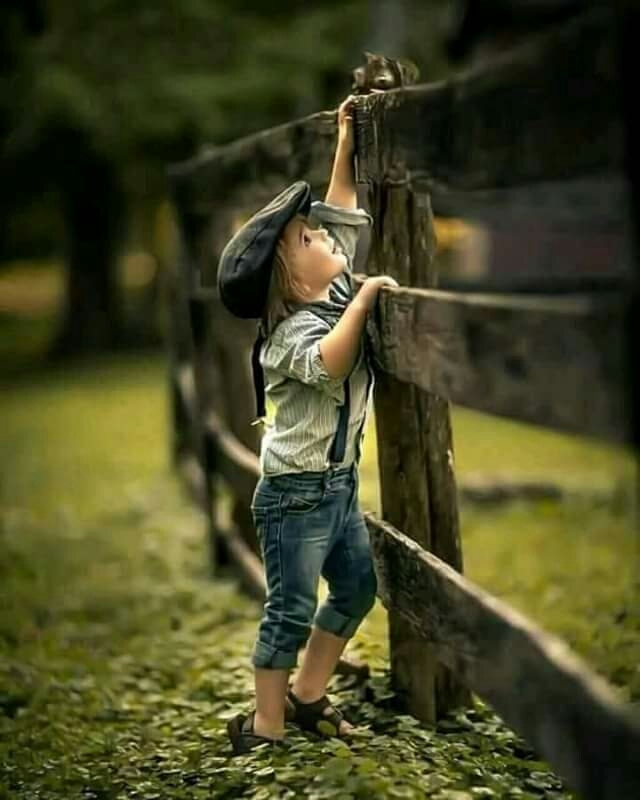 صباح الخير