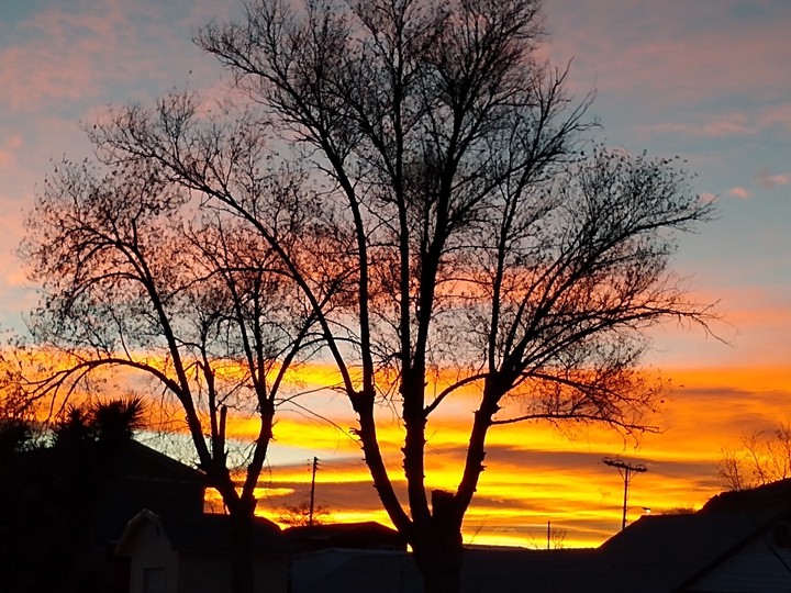 Nevada Sunset