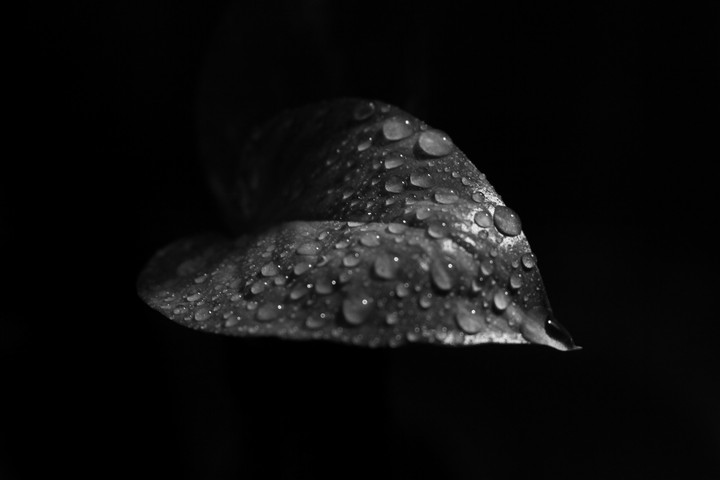 black