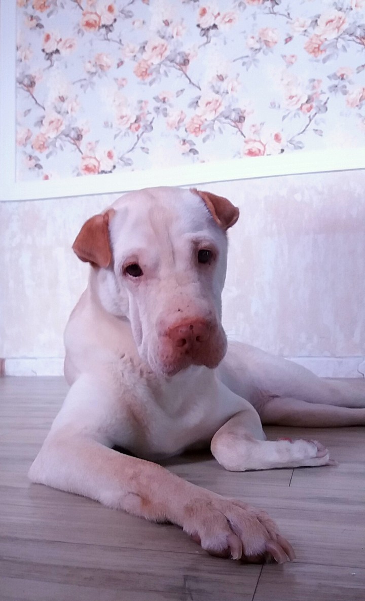 ❤