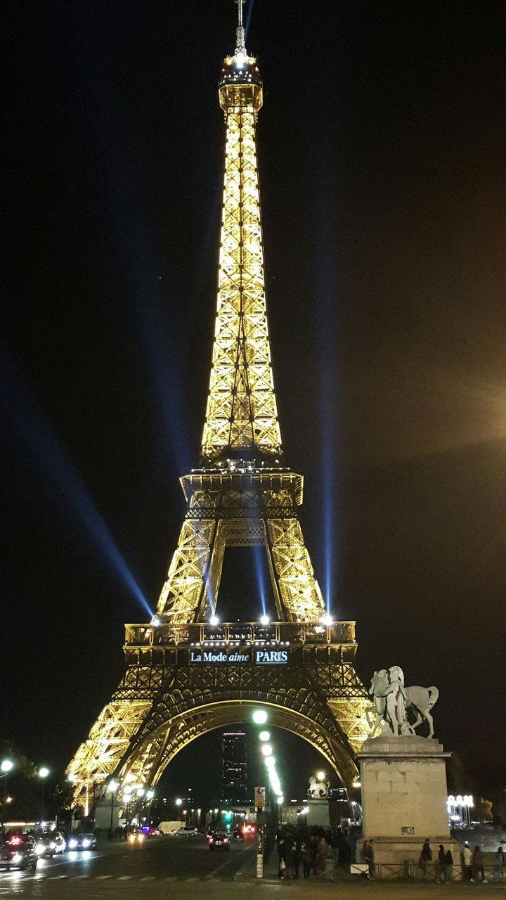 A nice view of the Eiffel Tower at night