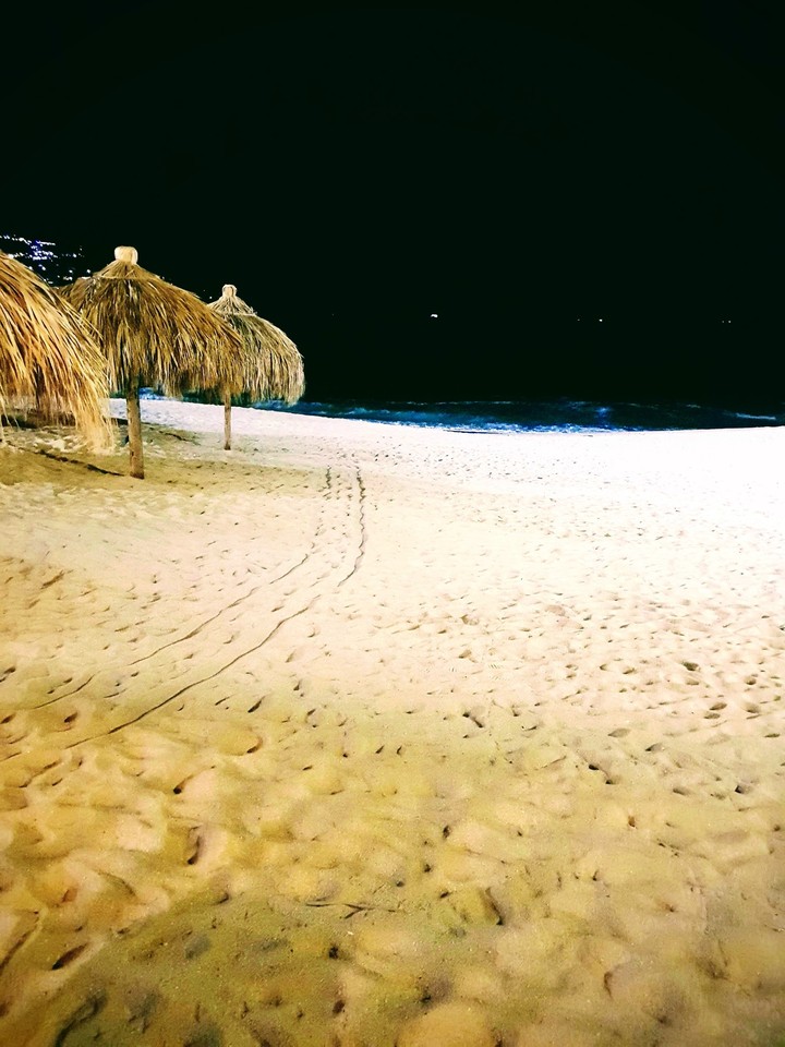beach
