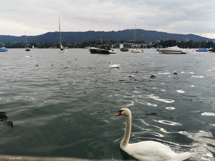 Zurich