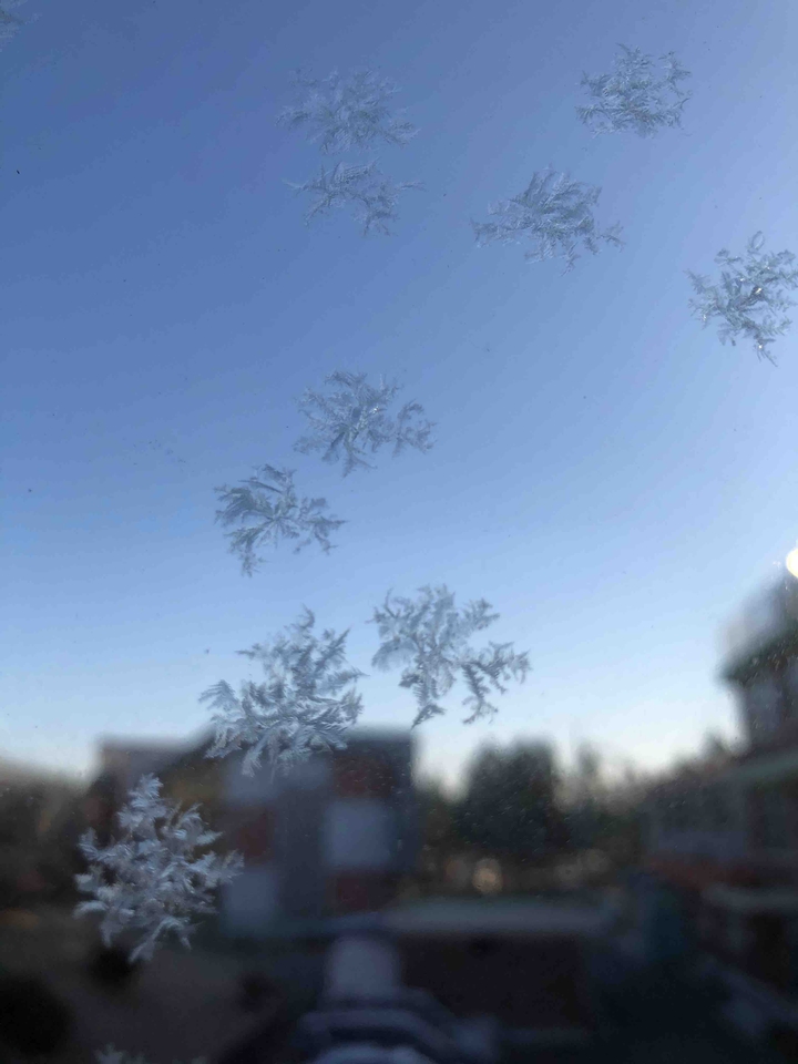 frost